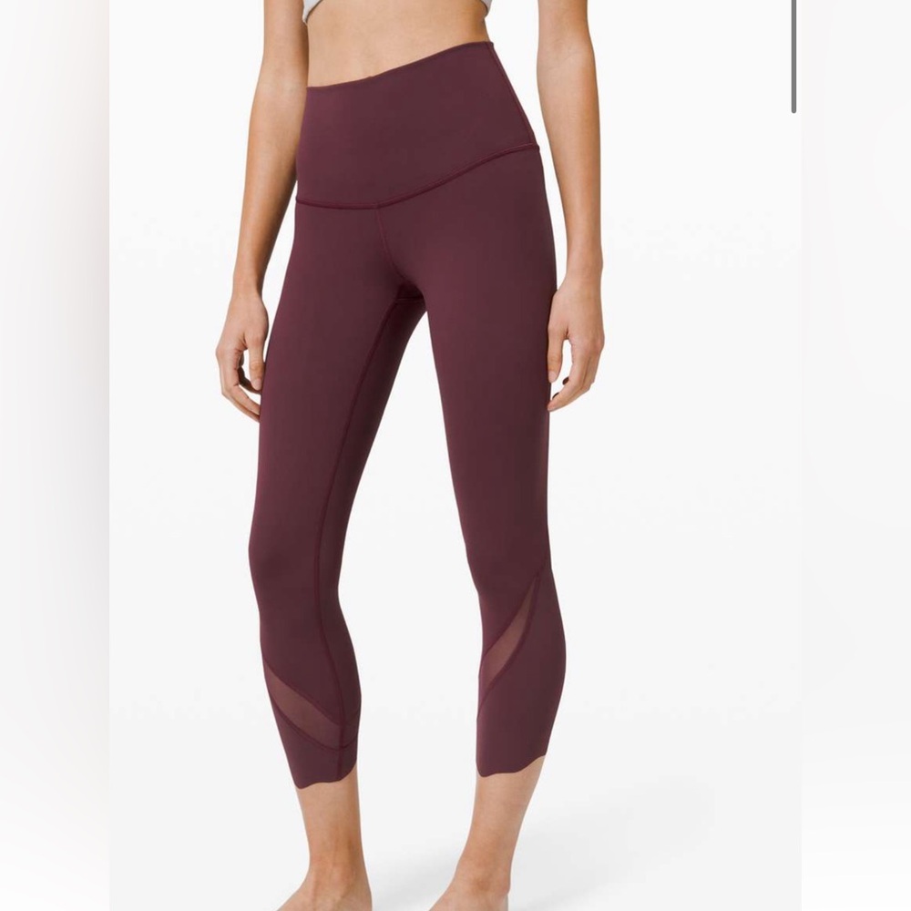 WUNDER UNDER CROP HIGH-RISE ROLL DOWN SCALLOP LUXTREME 23" Cassis Size: 8